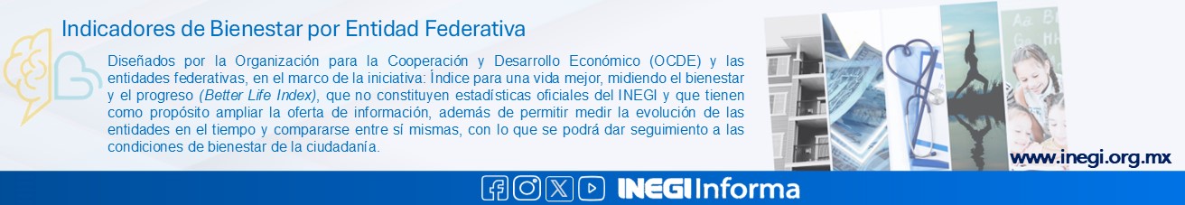 Indicadores de Bienestar